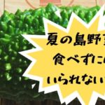 沖縄・久米島で手に入る、夏の島野菜と買えるお店を紹介するよ！